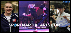 SportMartialArts.com Coverage of the 2014 Irish Open Martial Arts Event WAKO