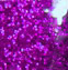 Confetti - Purple