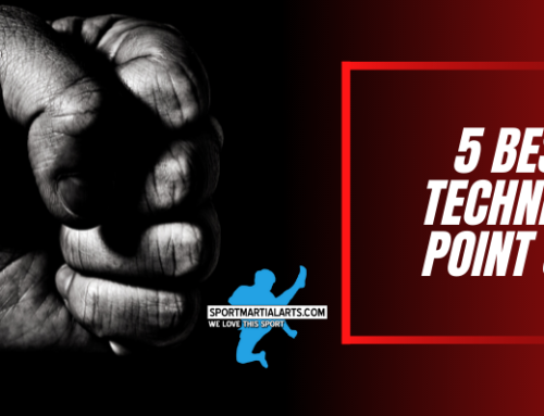 5 Most Popular Hand Techniques For Successful Point Sparring